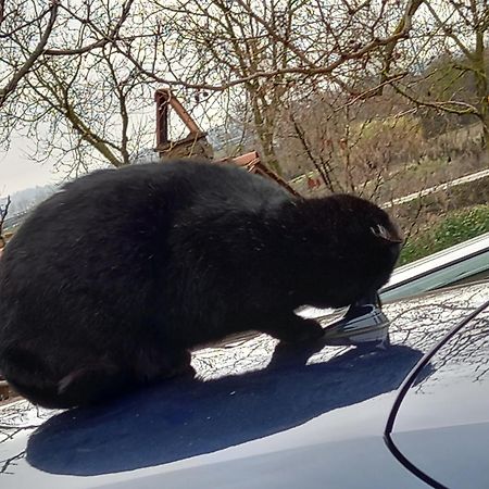 Affittacamere La Fornace Rigomagno Bagian luar foto