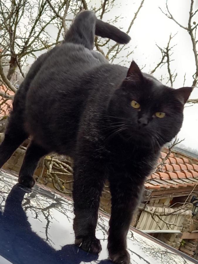 Affittacamere La Fornace Rigomagno Bagian luar foto