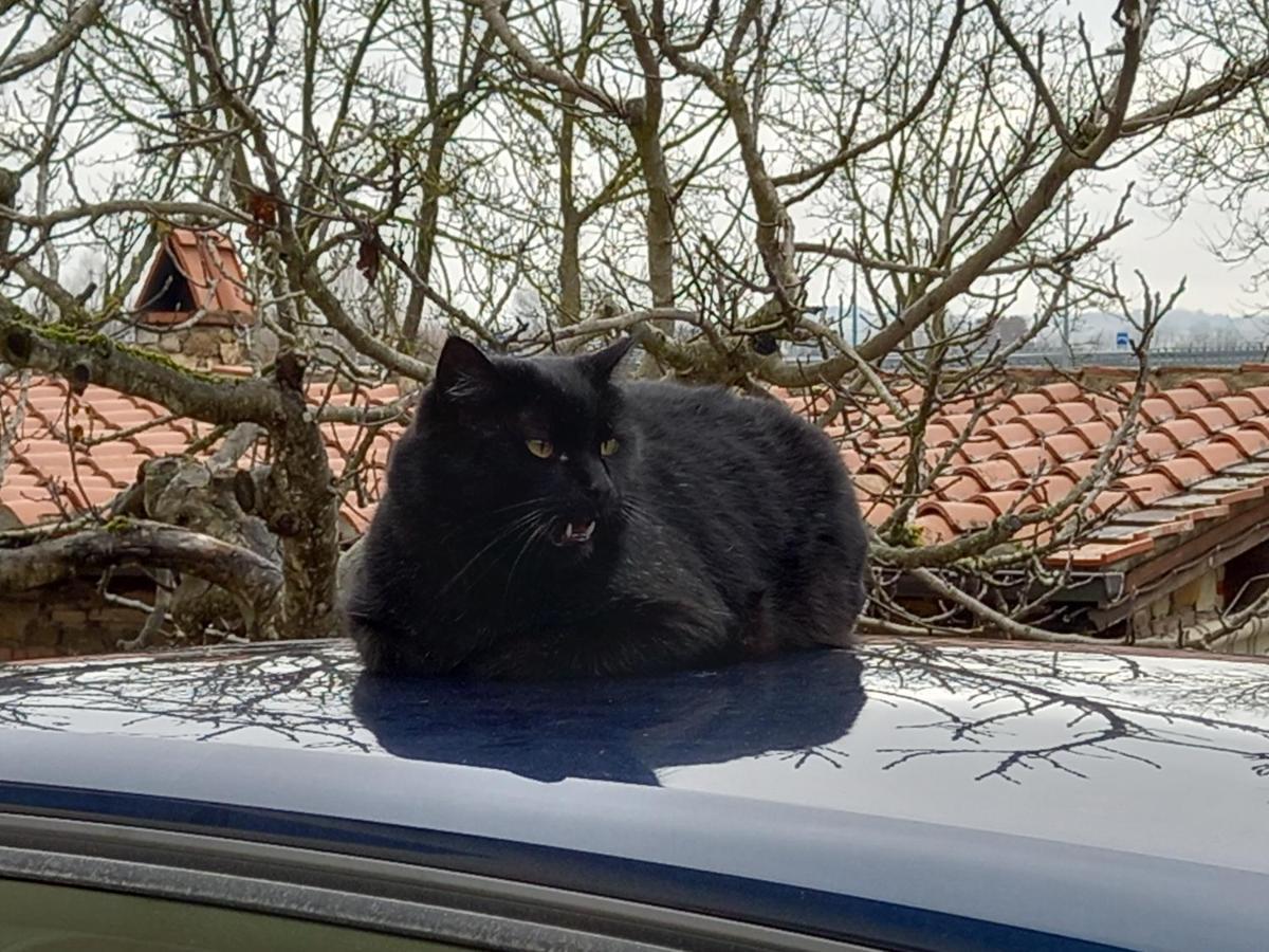 Affittacamere La Fornace Rigomagno Bagian luar foto