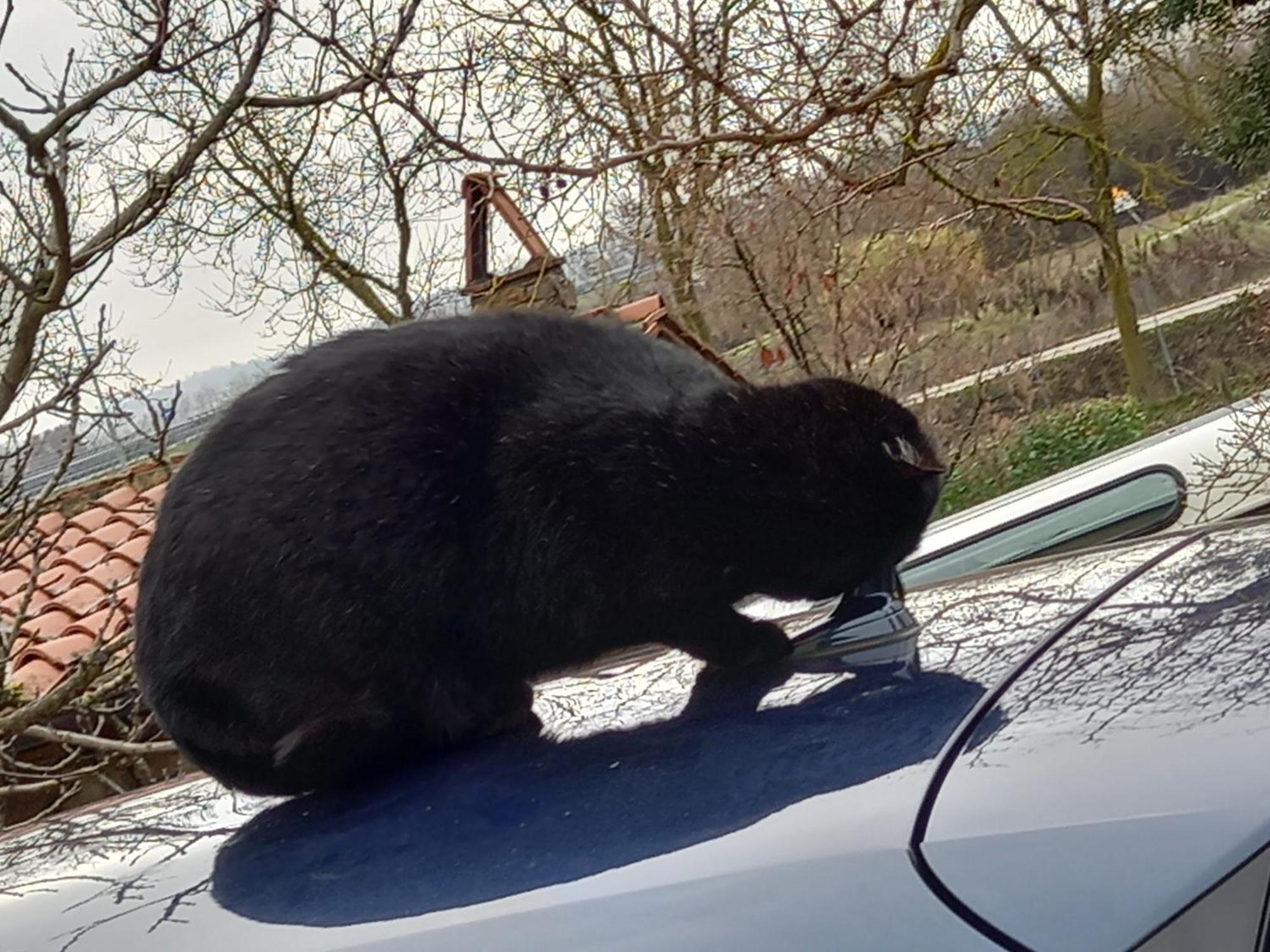 Affittacamere La Fornace Rigomagno Bagian luar foto